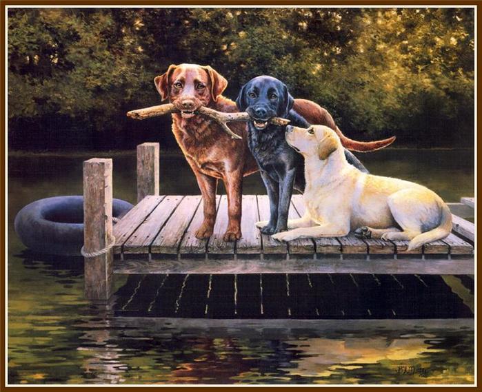 4843185_4 (700x569, 79Kb)
