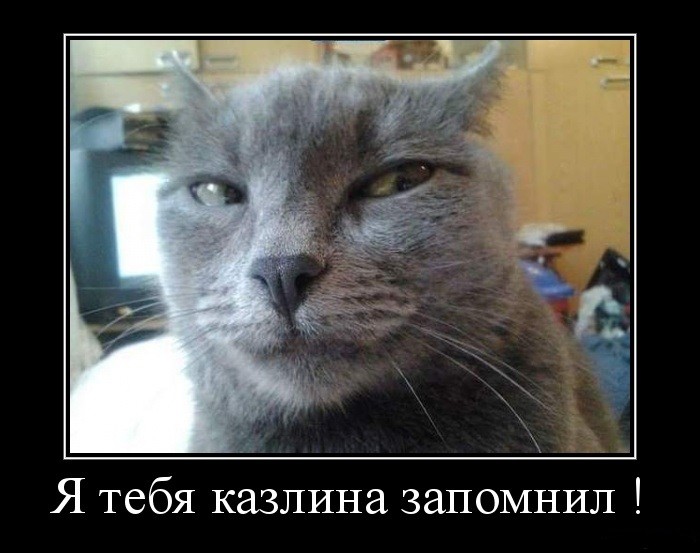 571f5889bd04703f098b4577 (700x553, 72Kb)