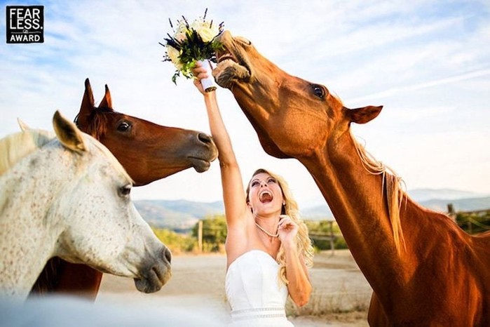 Лучшие свадебные фотографии со всего мира — признанная романтика!