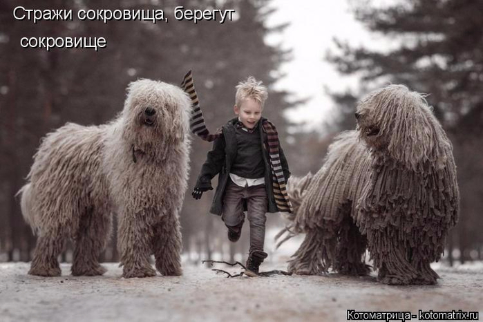 kotomatritsa_3 (700x466, 258Kb)