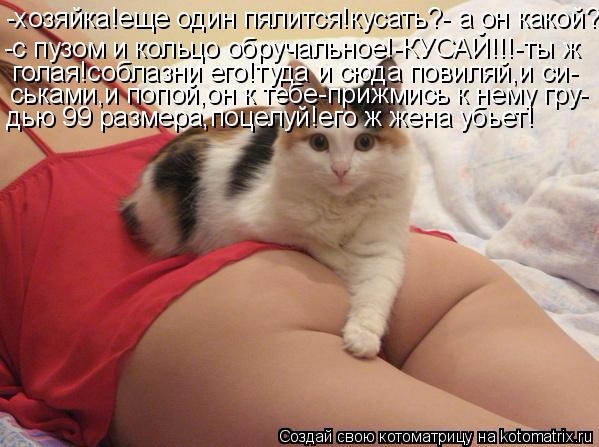 kotomatritsa_7m (599x447, 233Kb)
