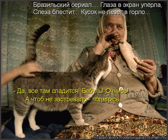 kotomatritsa_DH (1) (700x585, 481Kb)
