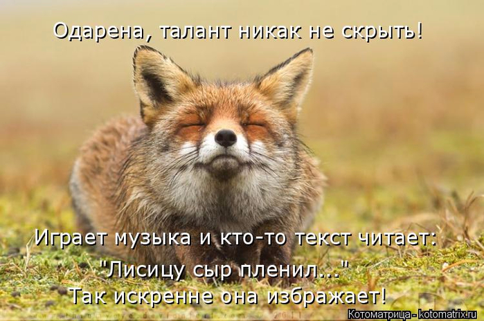 kotomatritsa_G (700x464, 338Kb)