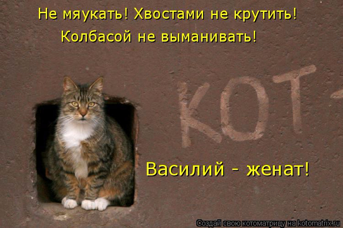 kotomatritsa_HS (700x465, 335Kb)