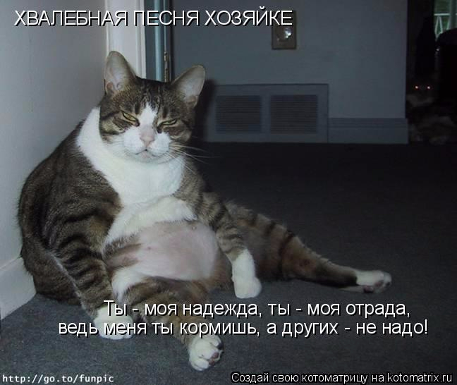 kotomatritsa_K (1) (648x546, 166Kb)