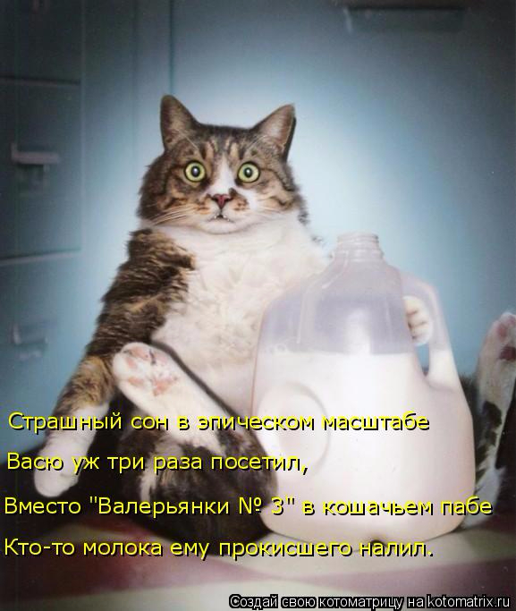 kotomatritsa_yh (577x683, 254Kb)