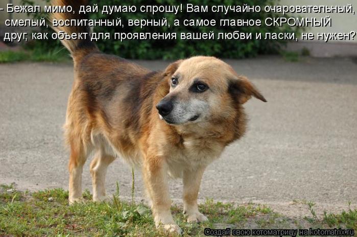 О панно Інно. Тичина Павло Стислі перекази з літератури Красивые стихи парню - Стихи про любовь на