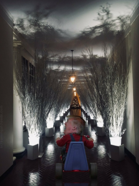 В сети появились стремные мемы на тему украшений Белого дома от Мелании Трамп