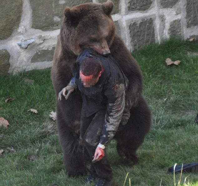 Жуткие фотографии нападения медведей, которые кажутся такими милыми мишками