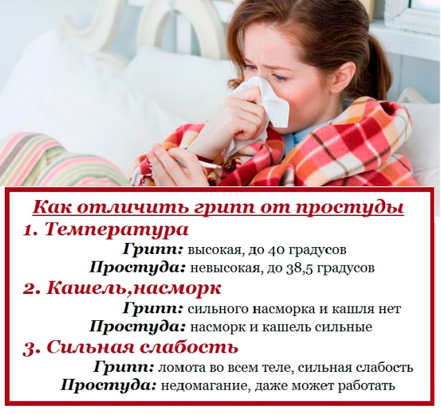 5710130_gripp_i_prostyda__kak_razlichat_ih (640x600, 114Kb)