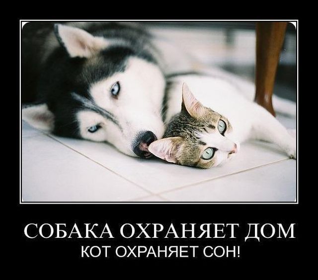 1513554878_18 (640x564, 43Kb)