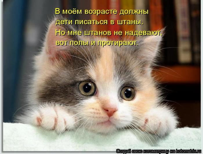 kotomatritsa_v1 (700x529, 58Kb)