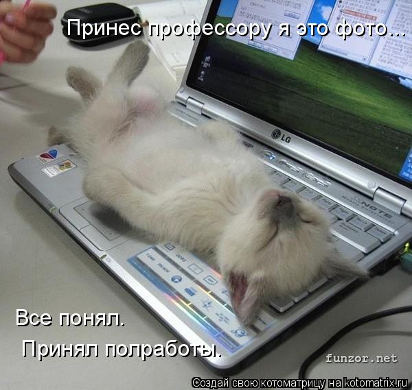 kotomatritsa_2 (600x569, 56Kb)