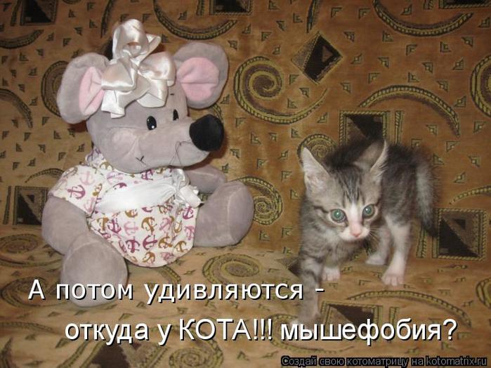 kotomatritsa_5D (700x524, 66Kb)