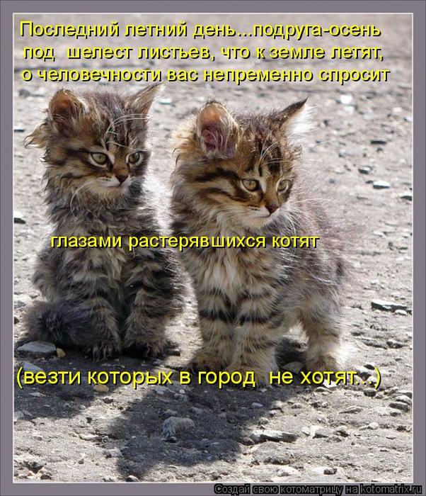 kotomatritsa_G (602x700, 104Kb)