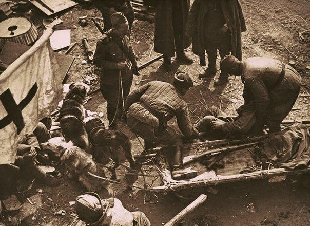Какие советские города бомбили первыми в начале войны 22 июня 1941 года 