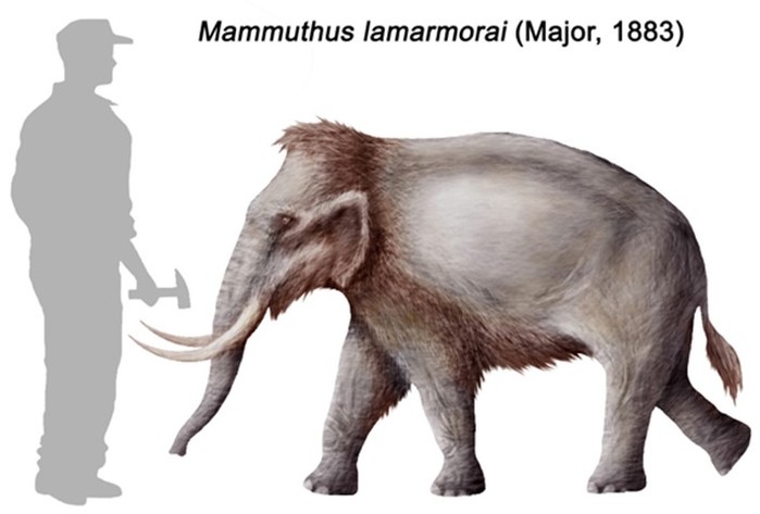 Мегафауна Земли: самые крупные животные планеты — современные и древние