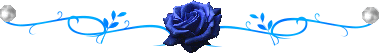 4843185_12092166778b3e34ff51892348ab3bf0522eb6b1c6 (379x53, 5Kb)