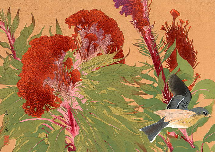 Cockscomb flowers and yellow bunting (700x496, 502Kb)