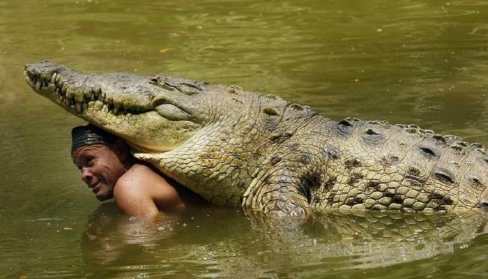 Человек и крокодил — удивительная дружба 