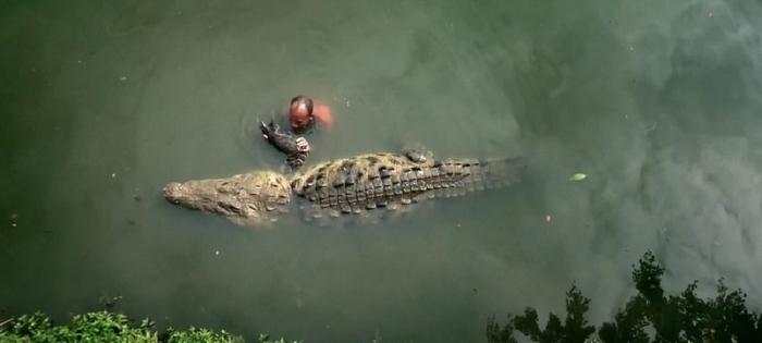 Человек и крокодил — удивительная дружба 