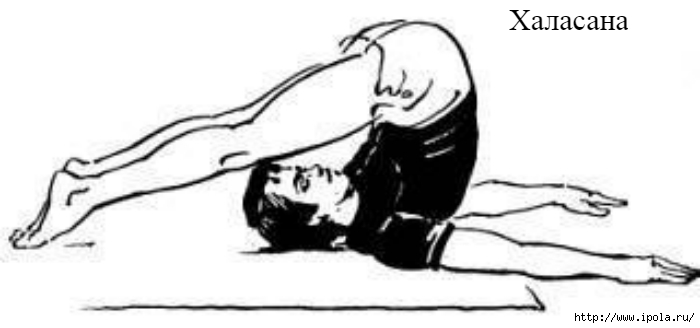 alt="  .     "/2835299_Halasana (700x328, 67Kb)