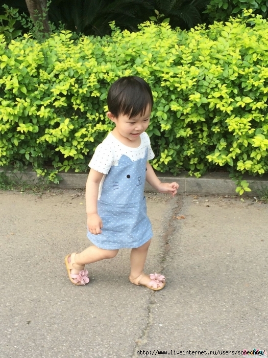5084531_819b (525x700, 343Kb)