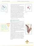  Page_00025 (520x700, 194Kb)