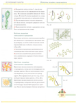  Page_00029 (518x700, 203Kb)