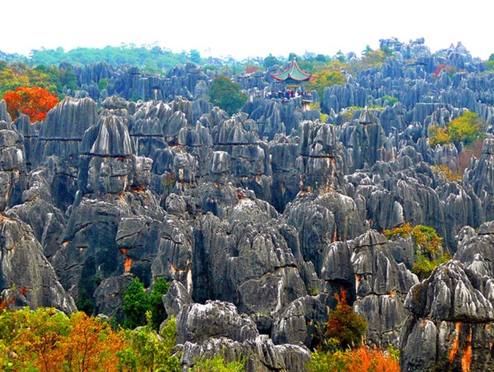 Знаменитый каменный лес в провинции Юньнань (Китае)
