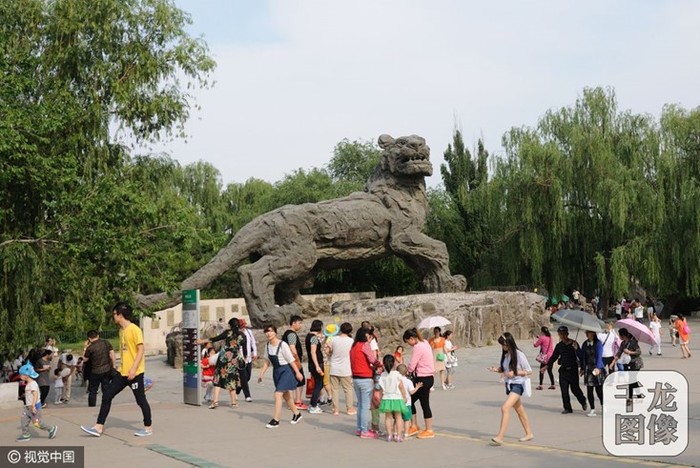Зоопарки Китая — одна из самых интересных достопримечательностей Поднебесной