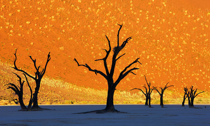 а15 (700x420, 519Kb)