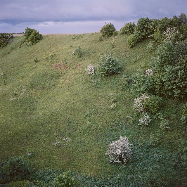 1-17 (640x640, 369Kb)
