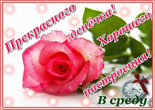 3470549_sreda_prek (600x427, 505Kb)