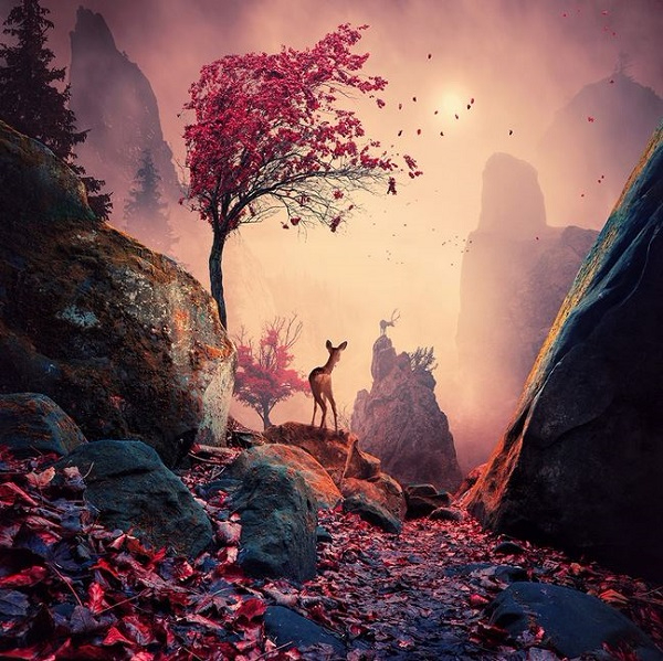 6 (600x599, 368Kb)