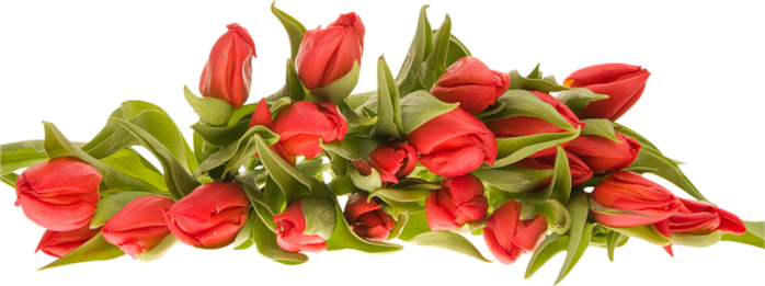 5230261_kr_tul (698x261, 248Kb)