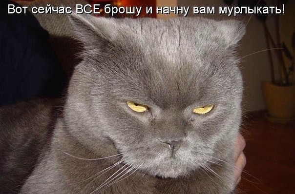 original (604x398, 179Kb)