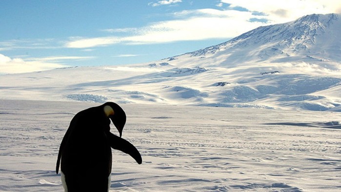 В Антарктиды подо льдами обнаружено более 100 вулканов, которые пока дремлют