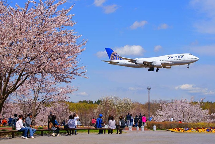 3577132_UNITED_Airlines_B747400_landing_at_Tokyo_Narita_Airport (700x469, 119Kb)