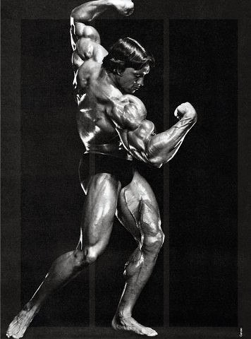 3 (356x480, 80Kb)