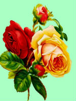 3-2 (150x199, 31Kb)