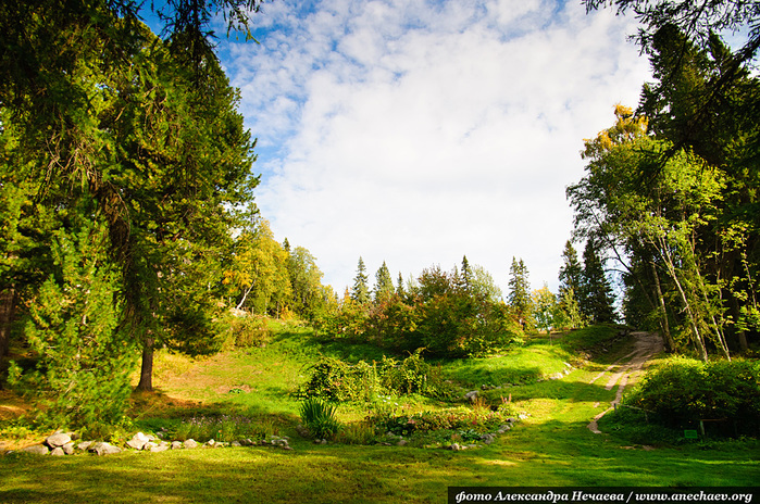 5685413_DSC_5994 (700x464, 292Kb)