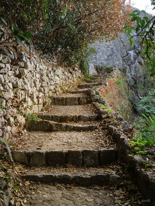 IMG_7517 (525x700, 681Kb)