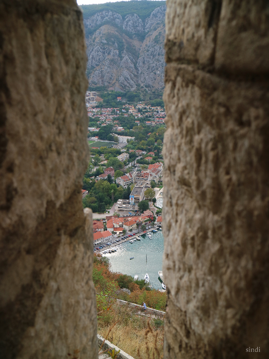 IMG_7580 (525x700, 409Kb)