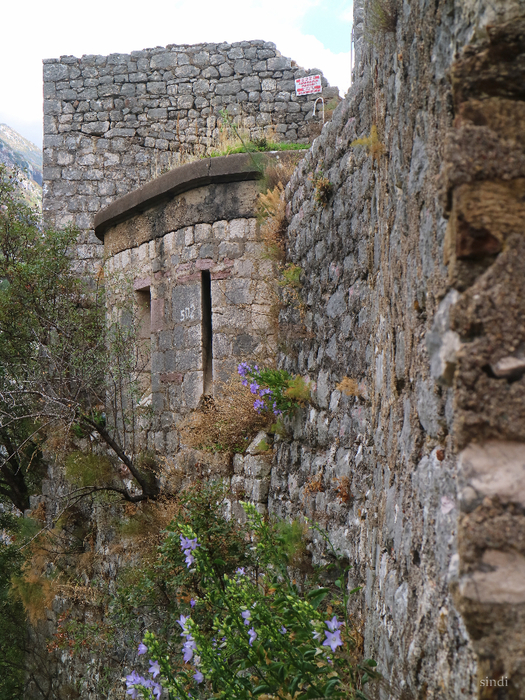 IMG_7602 (525x700, 565Kb)
