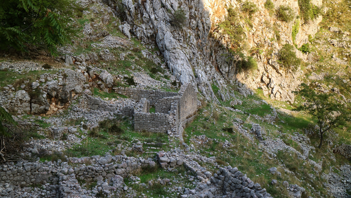 IMG_7645 (700x393, 488Kb)