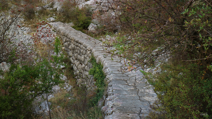IMG_7654 (700x393, 472Kb)
