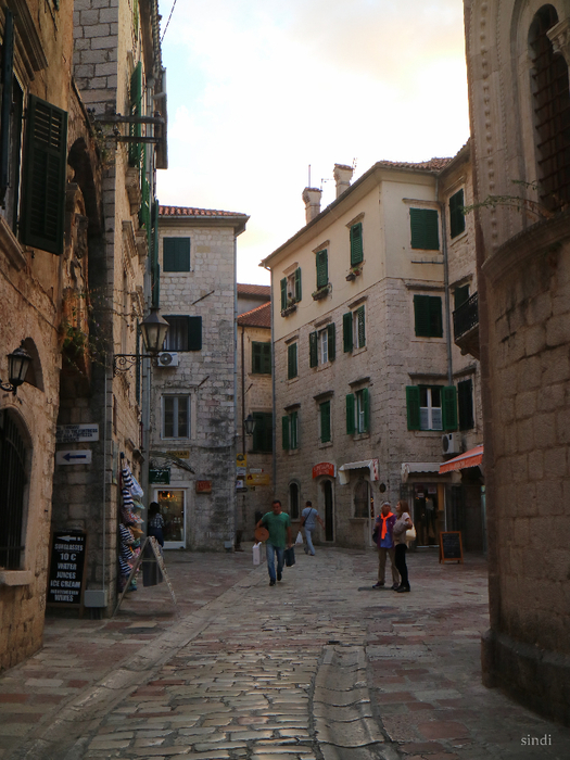 IMG_7691 (525x700, 427Kb)