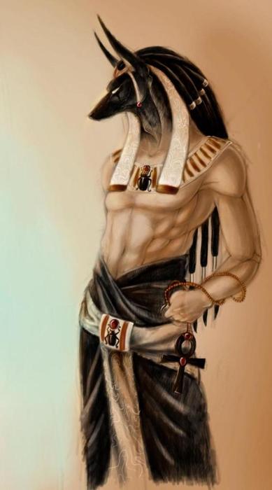 ------5 (389x700, 27Kb)
