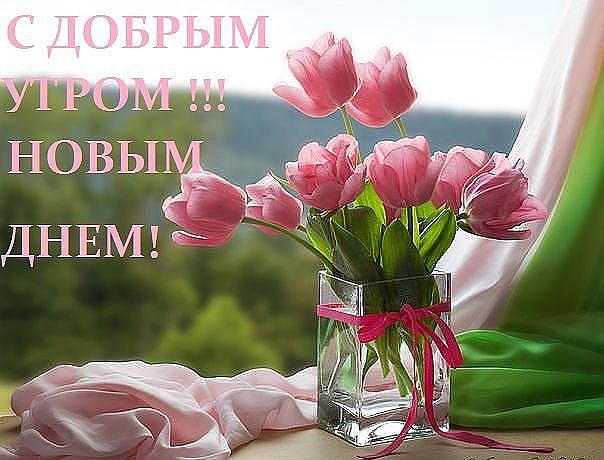   (604x460, 49Kb)